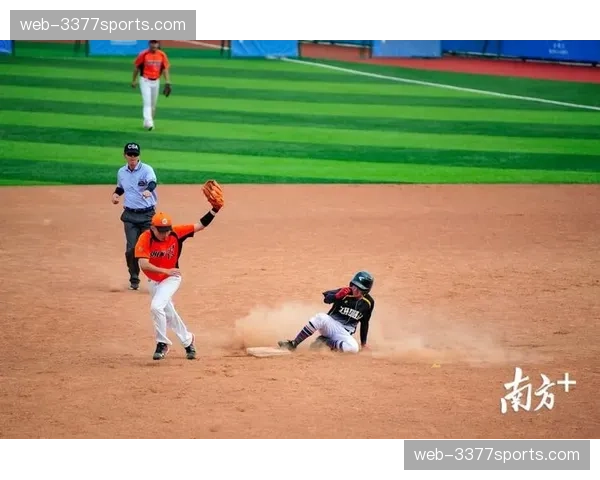 产业：2026年垒球装备销售额预计增长15%，女性参与率持续上升